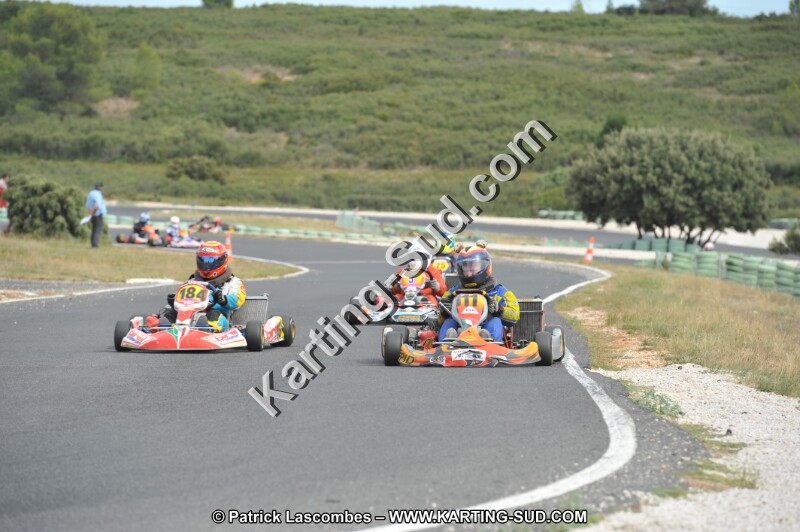 DSC (3504).JPG